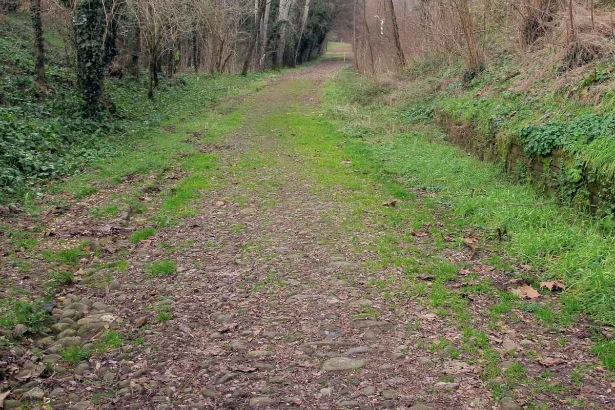 The ancient stone paving of the Via Francigena through woodland at Galleno in Tuscany.