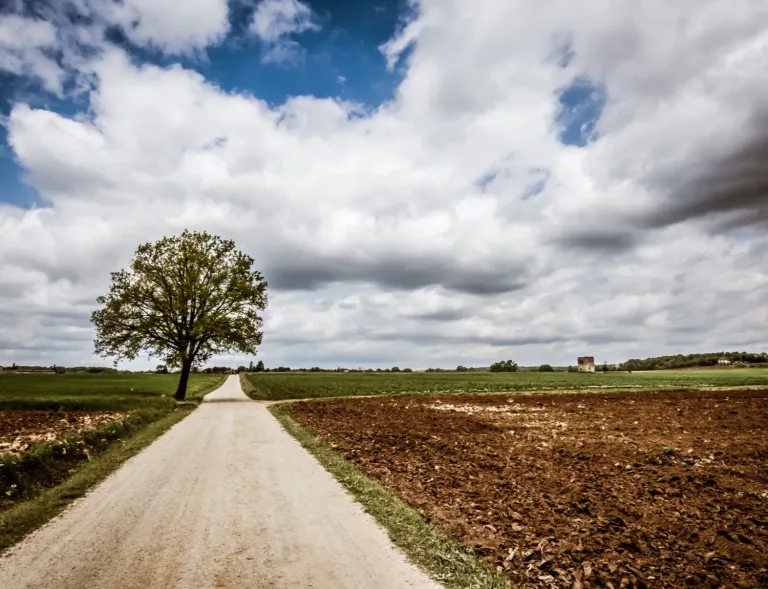A solitary dirt road crossing the open Tuscan countryside toward the horizon on the Via Francigena.